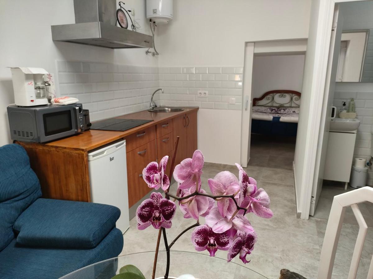 Casa Alba 1 Apartment Пуерто дел Росарио Екстериор снимка